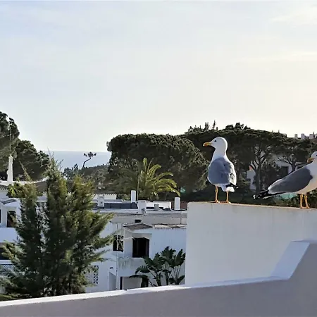 Apartment At A Sea View Top-Floor Apt, 500 M From The Beach! Albufeira